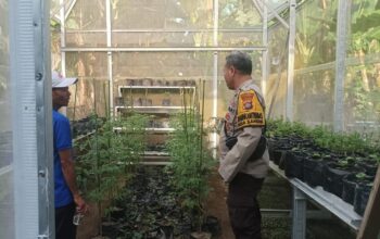 Sinergi Polsek Batulayar dan Warga untuk Pangan Mandiri