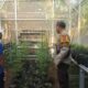 Polsek Batulayar Dorong Ketahanan Pangan Warga Desa Sandik