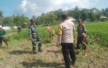 Sinergi Polisi dan Petani Gerung Dorong Kemandirian Pangan di Taman Ayu