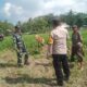 Sinergi Polisi dan Petani Gerung Dorong Kemandirian Pangan di Taman Ayu
