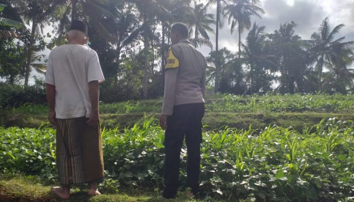 Pemanfaatan Pekarangan untuk Ketahanan Pangan di Dusun Pelan