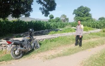 Lahan Jagung So Na’e Telah Terisi Penuh, Bhabinkamtibmas Pastikan Tak Ada Persiapan Tanam Kuartal Ketiga