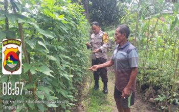 Wujudkan Ketahanan Pangan, Bhabinkamtibmas dan Warga Desa Luk Ubah Pekarangan Jadi Kebun Produktif