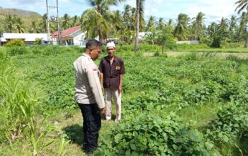 Kunjungi Petani di Sekotong, Polri Tekankan Pemanfaatan Lahan Demi Kedaulatan Pangan