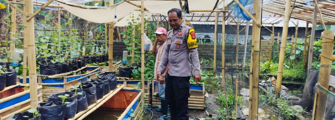Bhabinkamtibmas Ajak Warga Dusun Tempit Tanam Sayur di Pekarangan Rumah