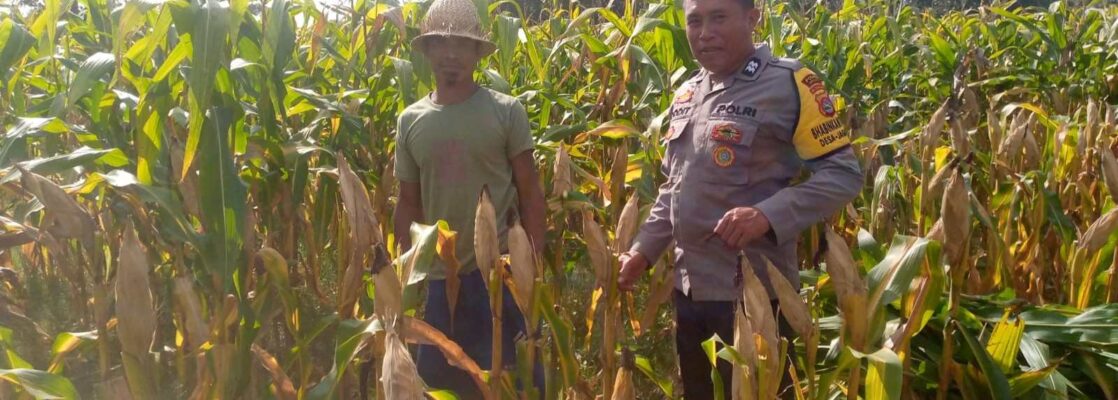 Bhabinkamtibmas Dorong Pemanfaatan Lahan untuk Ketahanan Pangan di Dusun Tambang Eleh