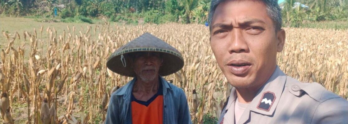 Bhabinkamtibmas Eyat Mayang Dukung Petani Jagung di Lembar untuk Ketahanan Pangan
