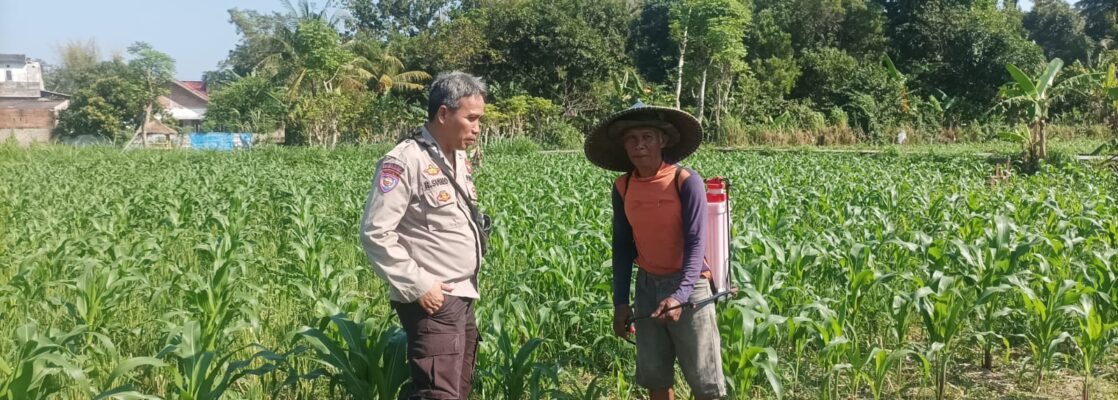 Bhabinkamtibmas Sandik Ajak Warga Dusun Tato Barat Wujudkan Swasembada Pangan