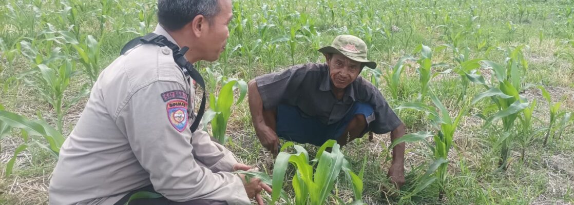 Dorong Ketahanan Pangan, Bhabinkamtibmas Desa Sandik Ajak Warga Manfaatkan Pekarangan