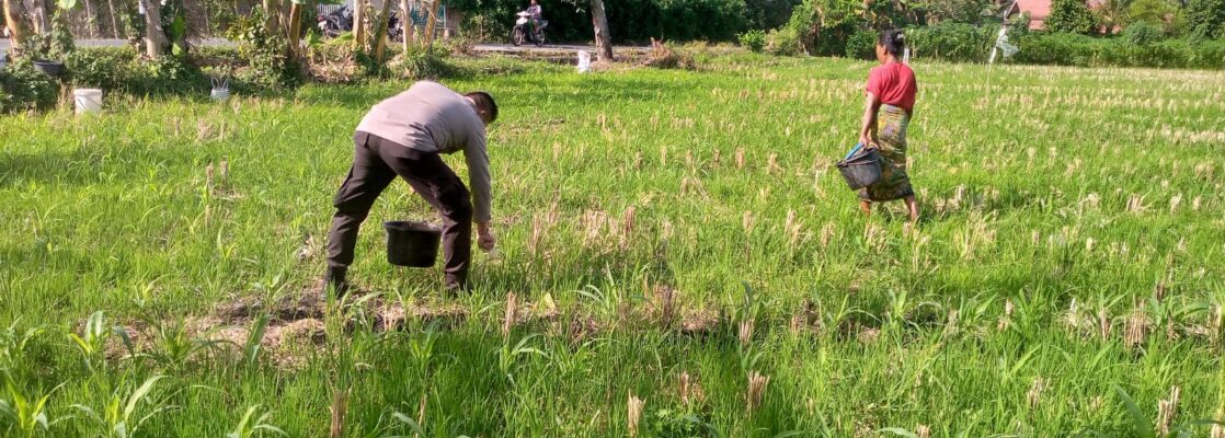 Dukung Ketahanan Pangan, Bhabinkamtibmas Kuripan Ajak Warga Manfaatkan Lahan Produktif