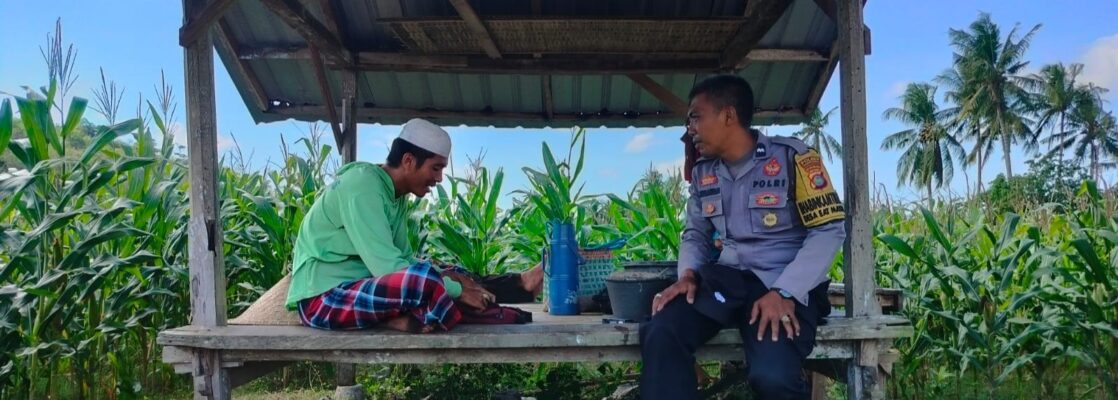 Jalin Kedekatan, Bhabinkamtibmas Desa Eyat Mayang Sambangi Petani Jagung Dukung Ketahanan Pangan