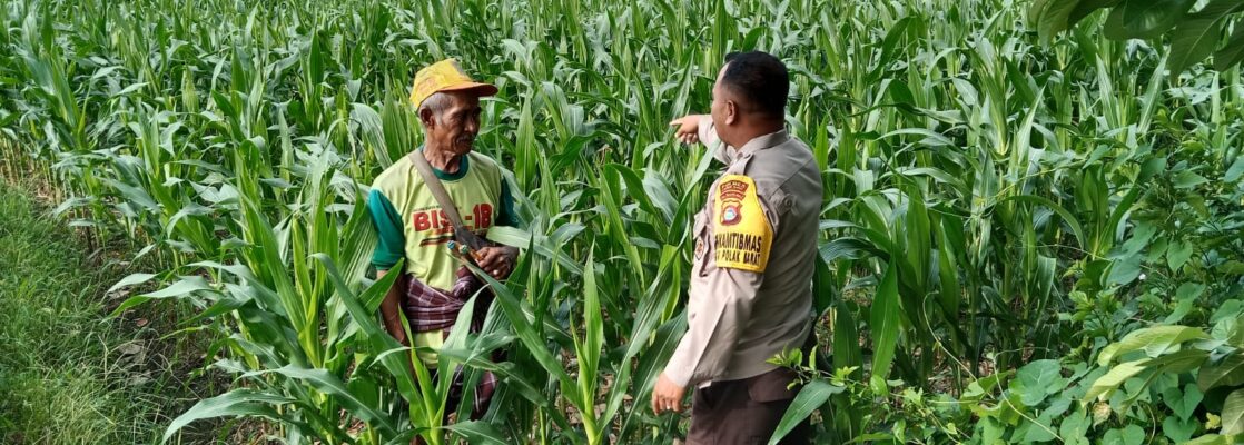 Menjaga Ketahanan Pangan, Bhabinkamtibmas Labuapi Ajak Warga Manfaatkan Lahan Kosong