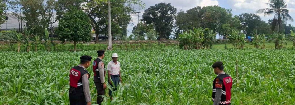 Polres Lombok Barat Dampingi Petani Gerung Utara, Dukung Swasembada Pangan