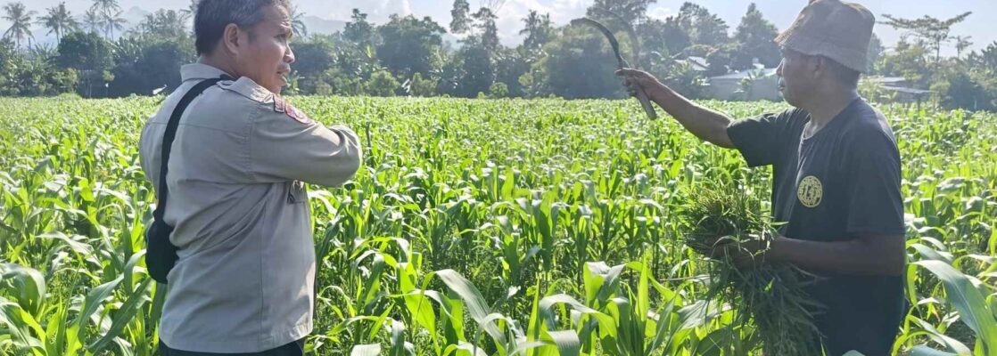 Polsek Batulayar Ajak Masyarakat Perempung Maksimalkan Lahan untuk Ketahanan Pangan