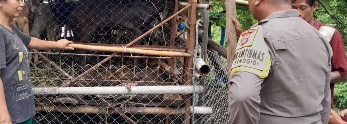 Sinergi Polisi dan Warga Krandangan: Optimalkan Lahan Kosong Jadi Sumber Pangan