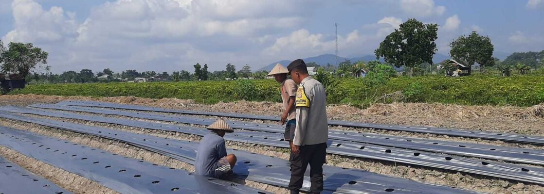 Polsek Kediri Dorong Warga Montong Are Tanam Cabai untuk Ketahanan Pangan