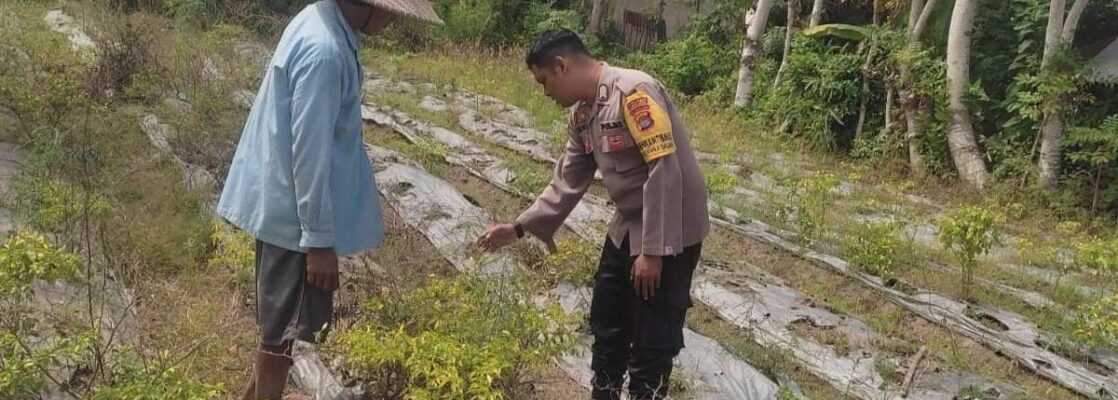 Polsek Labuapi Ajak Warga Desa Kuranji Wujudkan Kemandirian Pangan Lewat Pertanian Pekarangan