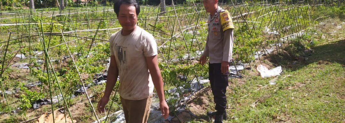 Polsek Sekotong Ajak Petani Berdayakan Lahan Produktif di Dusun Berambang