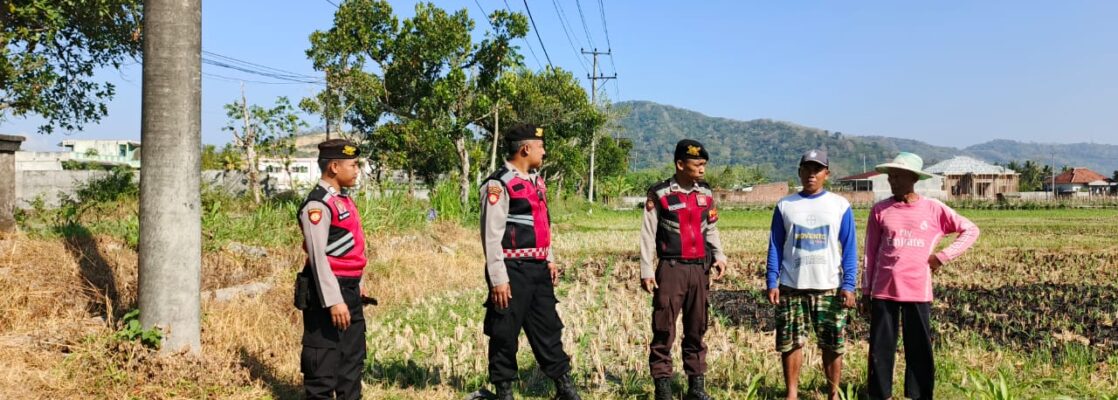 Polri Hadir Bantu Petani Jagung Wujudkan Swasembada di Lombok Barat