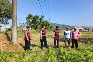 Polri Hadir Bantu Petani Jagung Wujudkan Swasembada di Lombok Barat