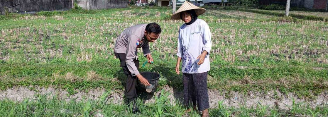 Polsek Kuripan Galakkan Pertanian Pekarangan Demi Kesejahteraan Warga