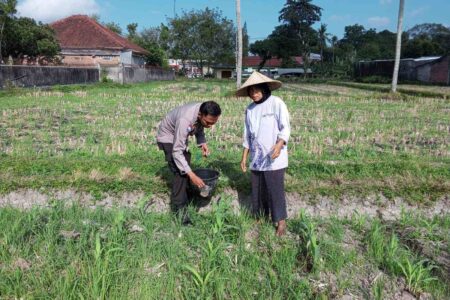 Polsek Kuripan Galakkan Pertanian Pekarangan Demi Kesejahteraan Warga