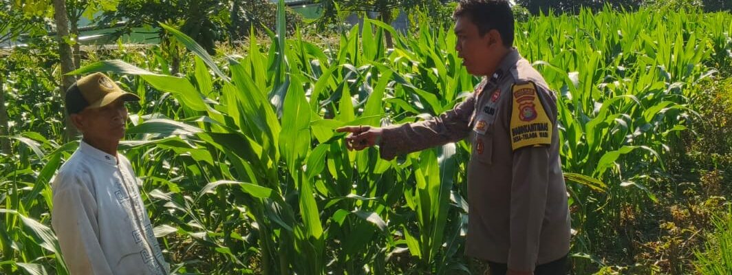 Bhabinkamtibmas Telagawaru Edukasi Petani Soal Lahan Pekarangan Bergizi