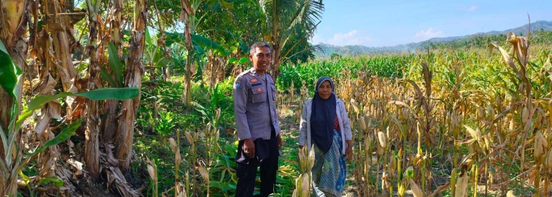 Kemitraan Strategis, Bhabinkamtibmas Lembar Dukung Petani Wujudkan Ketahanan Pangan