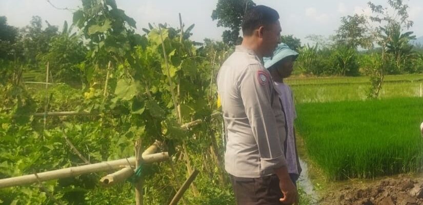 Polri Gerakkan Petani Lombok Barat Sukseskan Program Ketahanan Pangan Nasional