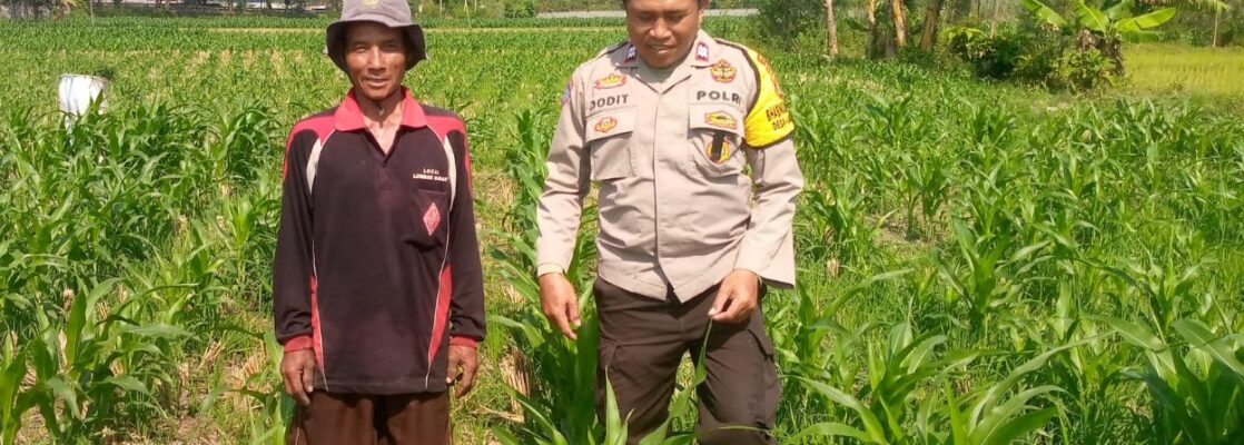 Sinergi Polisi dan Petani di Desa Jagaraga untuk Wujudkan Kemandirian Pangan