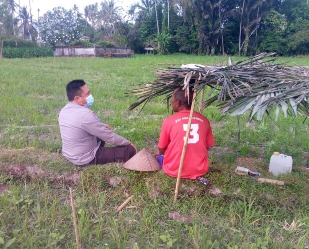 Sinergi Polri dan Petani di Dusun Tambang Eleh, Lombok Barat Wujudkan Desa Mandiri Pangan