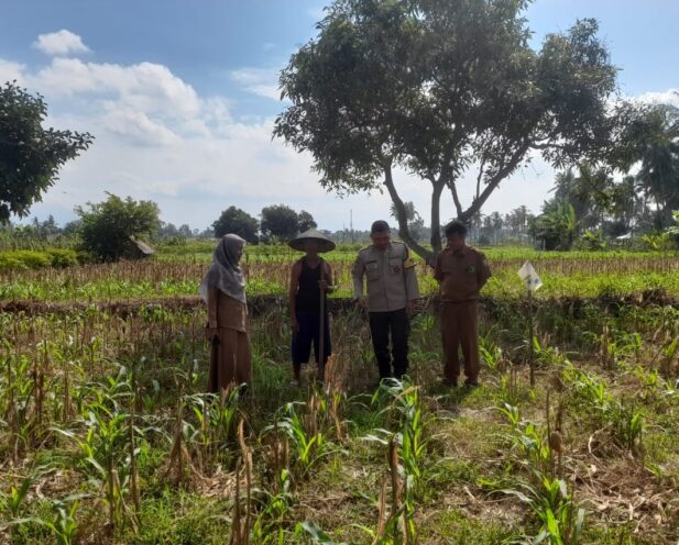 Bhabinkamtibmas, PPL, Desa Gelogor, Kediri Lombok Barat, ketahanan pangan