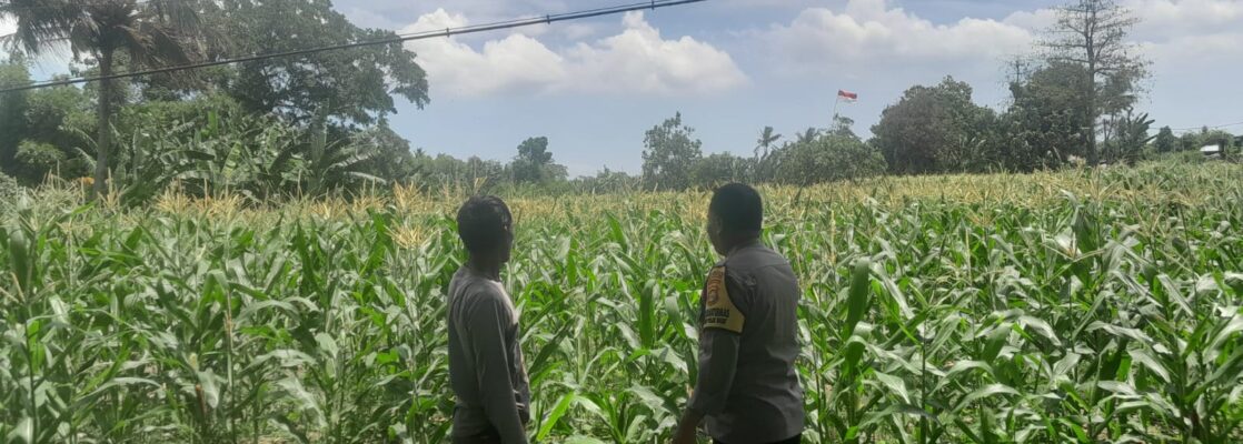 Polsek Labuapi Dorong Warga Dusun Jogot Tanam Hortikultura Guna Kemandirian Pangan
