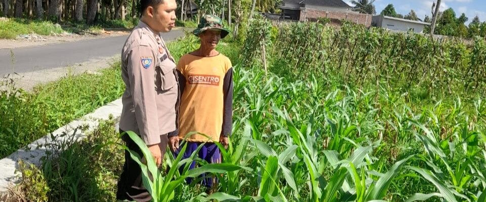 Kepolisian Kediri Bina Petani Jagung Gelogor, Perkuat Ekonomi dan Pangan Lokal
