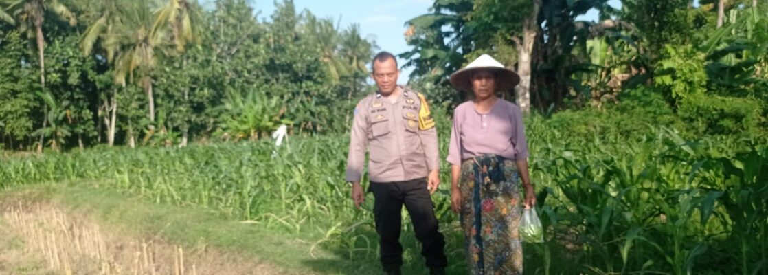 Kunjungan Humanis Bhabinkamtibmas di Kuranji, Pekarangan Jadi Sumber Pangan