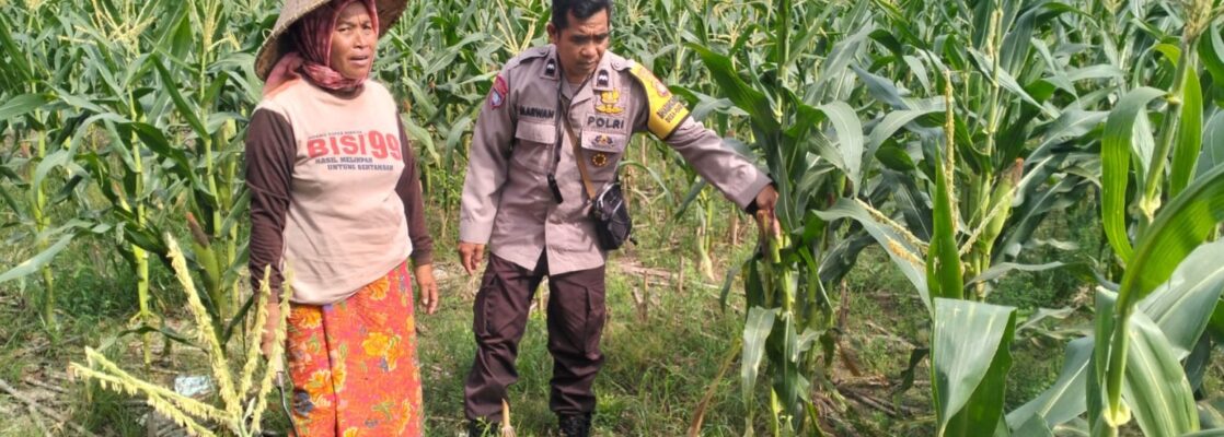 Polsek Labuapi Bangun Kesadaran Pangan Mandiri di Karang Kebon