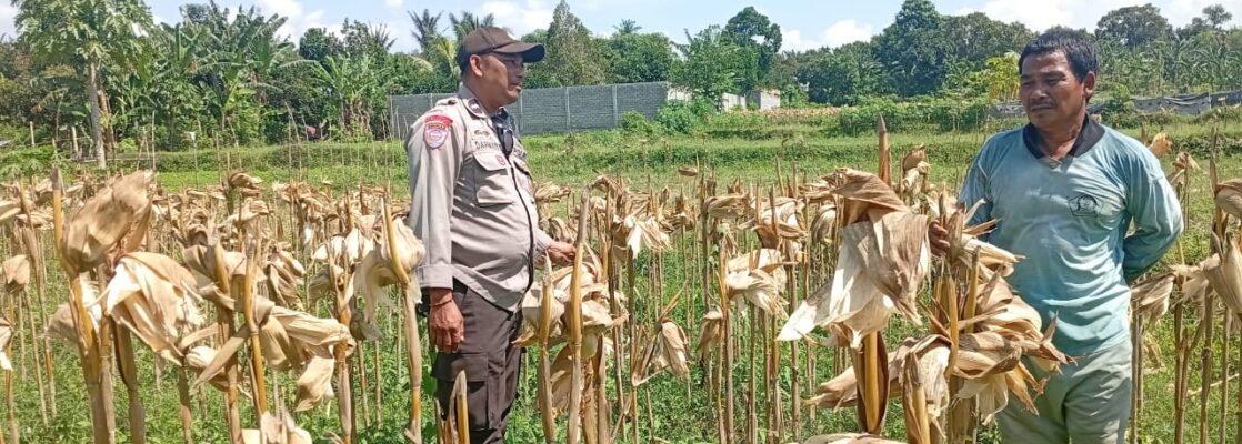Situasi Desa Merembu Kondusif, Polisi Ajak Warga Fokus pada Kemandirian Pangan