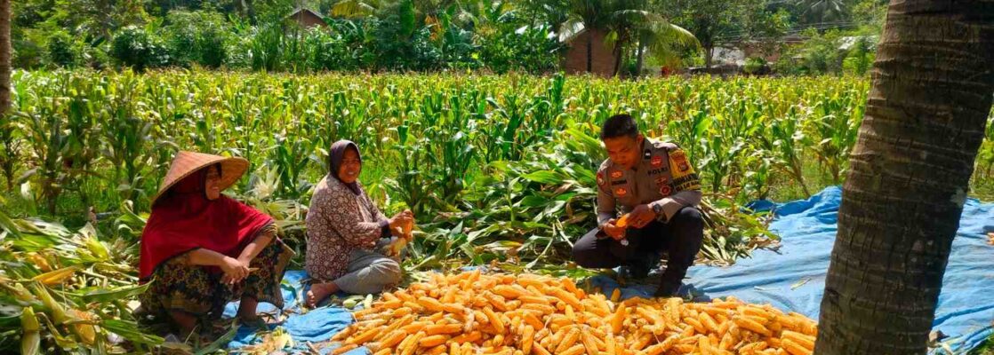 Sinergi Polri dan Petani Eyat Mayang untuk Perkuat Ketahanan Pangan Nasional