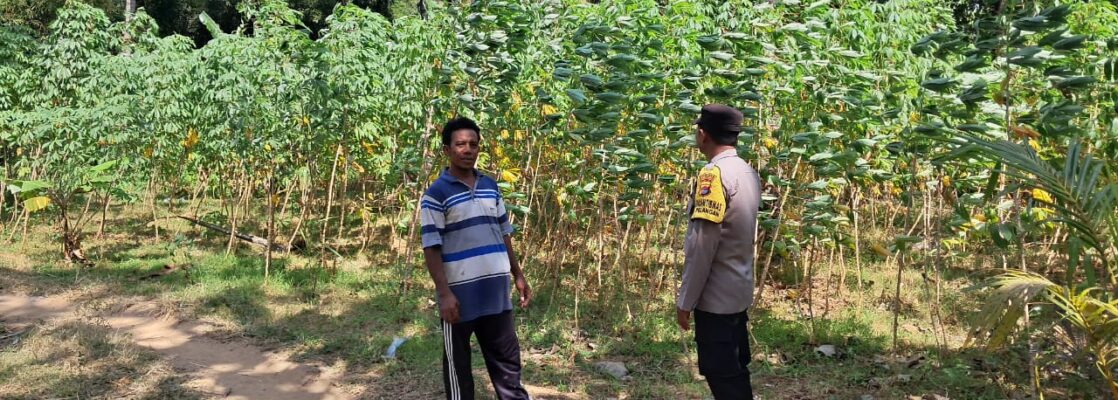 Sinergi Polsek Sekotong dan Warga Pelangan dalam Mewujudkan Kemandirian Pangan