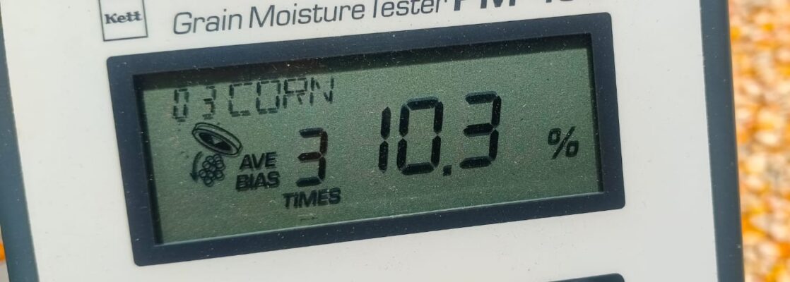 Jagung Desa Beleka dengan Kadar Air 10,3 KA Siap Serap Bulog NTB