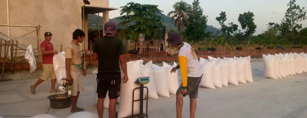 Polsek Kuripan Dorong Ketahanan Pangan Melalui Pendampingan Petani Jagung di Gerung