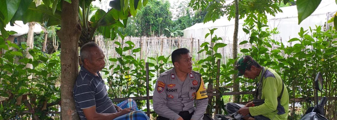 Bhabinkamtibmas Kuripan Ajak Petani Jagaraga Optimalkan Lahan Pekarangan
