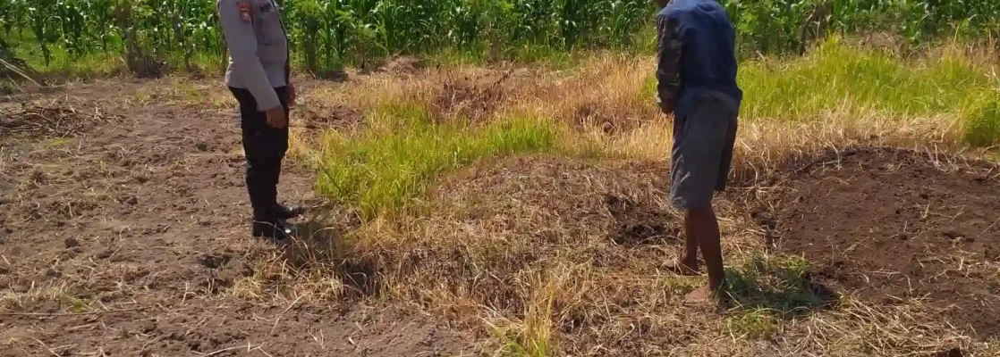 Lombok Barat, NTB – Dalam upaya konkret mendukung Program Ketahanan Pangan Nasional, Bhabinkamtibmas Desa Jagaraga, AIPTU I Gede Dodit, melaksanakan kunjungan dan dialog langsung dengan petani di Dusun Lamper. Kegiatan yang berlangsung pada hari Sabtu, 18 Oktober 2025, pukul 11.00 WITA hingga selesai, ini bertujuan mendorong pemanfaatan lahan produktif secara maksimal oleh warga binaan, baik untuk bercocok tanam maupun beternak atau perikanan. Inisiatif ini merupakan wujud nyata sinergi Polri dan masyarakat dalam menjaga ketersediaan pangan di tingkat lokal. Peran Aktif Polri dalam Mendukung Kemandirian Pangan Daerah Kunjungan Bhabinkamtibmas AIPTU I Gede Dodit di Dusun Lamper difokuskan kepada Bapak Ahmad, salah seorang petani setempat yang memiliki lahan produktif. Dalam pertemuan yang berlangsung hangat dan penuh kekeluargaan, AIPTU I Gede Dodit menyampaikan pentingnya peran aktif masyarakat, terutama para petani dan peternak, dalam menghadapi tantangan ketahanan pangan global. Ia mengajak warga untuk tidak hanya mengandalkan hasil panen utama, tetapi juga memanfaatkan pekarangan rumah atau lahan tidur untuk menanam komoditas pangan cepat panen seperti sayur-sayuran, sebagai bentuk diversifikasi dan cadangan pangan keluarga. Kapolsek Kuripan, Polres Lombok Barat, Polda NTB, Ipda I Wayan Eka Ariyana, S.H., menegaskan bahwa kegiatan ini adalah bagian dari instruksi pimpinan Polri untuk secara masif mengawal dan mendukung program pemerintah. "Peran Bhabinkamtibmas sangat strategis sebagai ujung tombak Polri di desa. Mereka tidak hanya menjaga kamtibmas, tetapi juga menjadi motivator dan penggerak ekonomi kerakyatan, khususnya di sektor pertanian. Kami terus mendorong anggota kami untuk terjun langsung, memastikan warga binaan teredukasi dan tergerak untuk memanfaatkan setiap jengkal lahan yang ada," ujar Ipda I Wayan Eka Ariyana, S.H. Menggali Potensi Lokal Melalui Pemanfaatan Lahan Produktif Inti dari kunjungan tersebut adalah memotivasi Bapak Ahmad dan warga lainnya agar lebih optimal dalam memanfaatkan lahan. AIPTU I Gede Dodit memberikan pemahaman bahwa ketahanan pangan dimulai dari tingkat rumah tangga dan desa. Dengan menanam sayur-sayuran di lahan milik sendiri, warga dapat mengurangi ketergantungan pada pasar, memastikan ketersediaan pangan yang sehat, sekaligus berpotensi meningkatkan pendapatan keluarga. "Saya berdialog dengan Bapak Ahmad, menjelaskan bahwa program ketahanan pangan ini bukan hanya tanggung jawab pemerintah semata, melainkan tanggung jawab kita bersama. Dengan memanfaatkan lahan seoptimal mungkin, kita tidak hanya menjamin ketersediaan pangan keluarga, tapi juga ikut berkontribusi pada ketahanan pangan nasional," kata AIPTU I Gede Dodit. Ia menambahkan, pihaknya siap membantu memfasilitasi komunikasi dengan instansi terkait jika warga membutuhkan bimbingan teknis lebih lanjut mengenai pertanian atau peternakan. Sambutan Positif Warga dan Komitmen Mendukung Program Pemerintah Sambutan dari Bapak Ahmad, petani yang menjadi sasaran kunjungan, menunjukkan antusiasme tinggi terhadap inisiatif ini. Bapak Ahmad menyatakan kesediaannya untuk mendukung program pemerintah dengan mulai menanam berbagai jenis sayur-sayuran di tanah miliknya yang terletak di Dusun Lamper, Desa Jagaraga. "Kami menyambut baik kunjungan dari Bapak Bhabinkamtibmas. Ini sangat memotivasi kami para petani. Kami siap mendukung program ketahanan pangan ini. Kebetulan kami punya lahan, dan arahan dari Bapak Dodit untuk menanam sayur-sayuran sangat masuk akal untuk cadangan pangan keluarga kami. Kami akan segera memulainya," tutur Bapak Ahmad dengan semangat. Hasil dari kegiatan ini tidak hanya terhenti pada komitmen menanam sayuran, tetapi juga berhasil menjalin dan memperkuat tali silaturahmi serta komunikasi yang baik antara Polri dan warga binaan. Komunikasi yang intensif dan berkelanjutan seperti ini sangat penting untuk memastikan program-program pemerintah dapat berjalan lancar dan tepat sasaran di tingkat desa. Secara keseluruhan, kegiatan Bhabinkamtibmas Desa Jagaraga AIPTU I Gede Dodit di Dusun Lamper ini berjalan lancar. Situasi di lokasi terpantau aman dan kondusif, mencerminkan sinergi yang harmonis antara aparat keamanan dan masyarakat. Upaya ini menjadi salah satu pilar penting dalam mewujudkan kemandirian pangan yang berkelanjutan di wilayah Kabupaten Lombok Barat, sekaligus mengukuhkan citra Polri sebagai pengayom dan mitra produktif bagi masyarakat. Keberhasilan ini diharapkan dapat menjadi contoh inspiratif bagi desa-desa lain untuk turut serta aktif dalam program penguatan ketahanan pangan nasional.