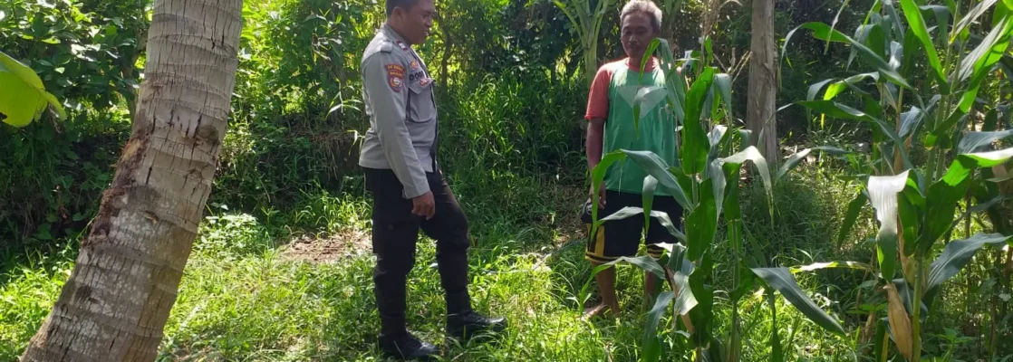 Sinergi Polri dan Petani di Lombok Barat Perkuat Kemandirian Pangan