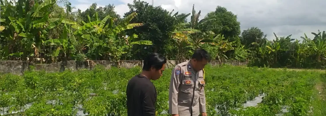 Dorong Kemandirian Pangan Keluarga, Bhabinkamtibmas Dampingi Warga Olah Lahan