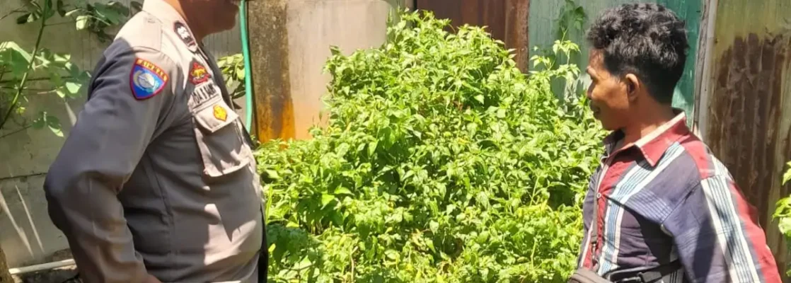 Optimalkan Lahan Kosong, Warga Senggigi Diedukasi Diversifikasi Pangan