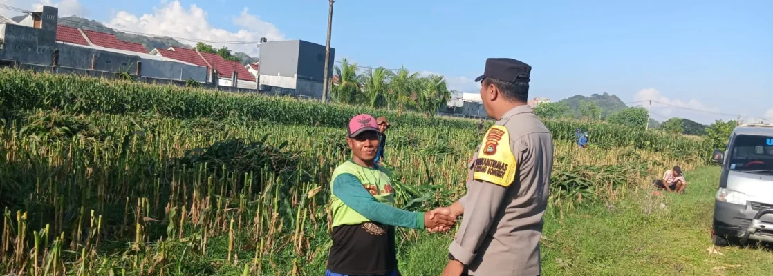 Peran Nyata Bhabinkamtibmas dalam Meningkatkan Kesejahteraan Petani