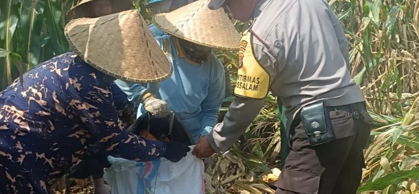 Polres Lombok Barat Kawal Stabilitas Harga Beras untuk Lindungi Warga