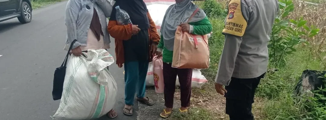 Peran Polisi di Balik Panen Jagung Sukses Petani Lombok Barat