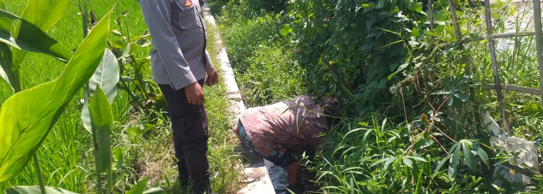 Petani Jagaraga Didorong Polri Tanam Padi dan Jagung untuk Pangan Lokal